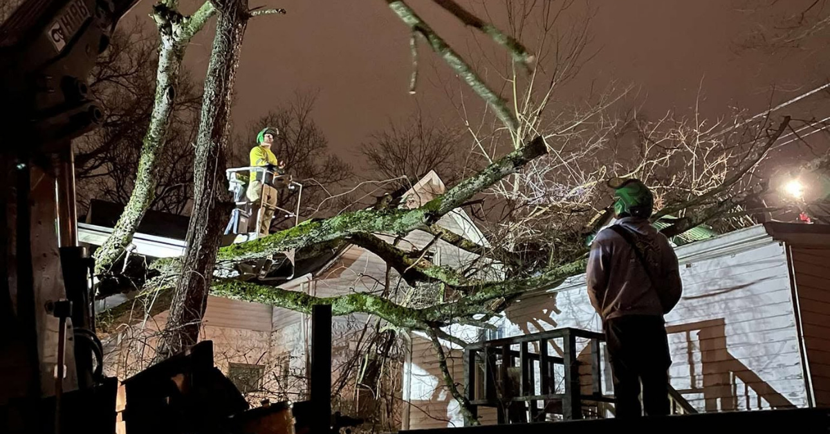 24/7 Emergency Tree Service in Lewisburg