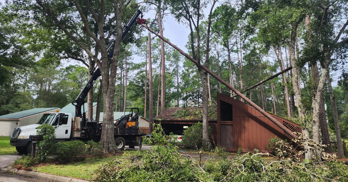 How Much Does Tree Removal Cost