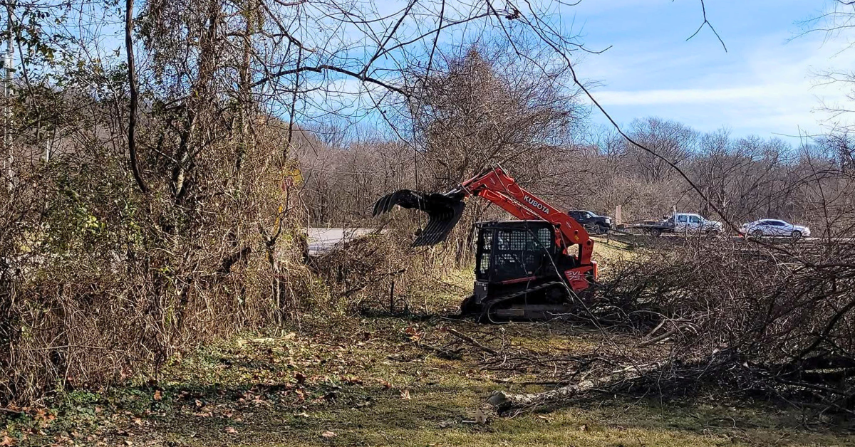 Land Clearing in Lewisburg