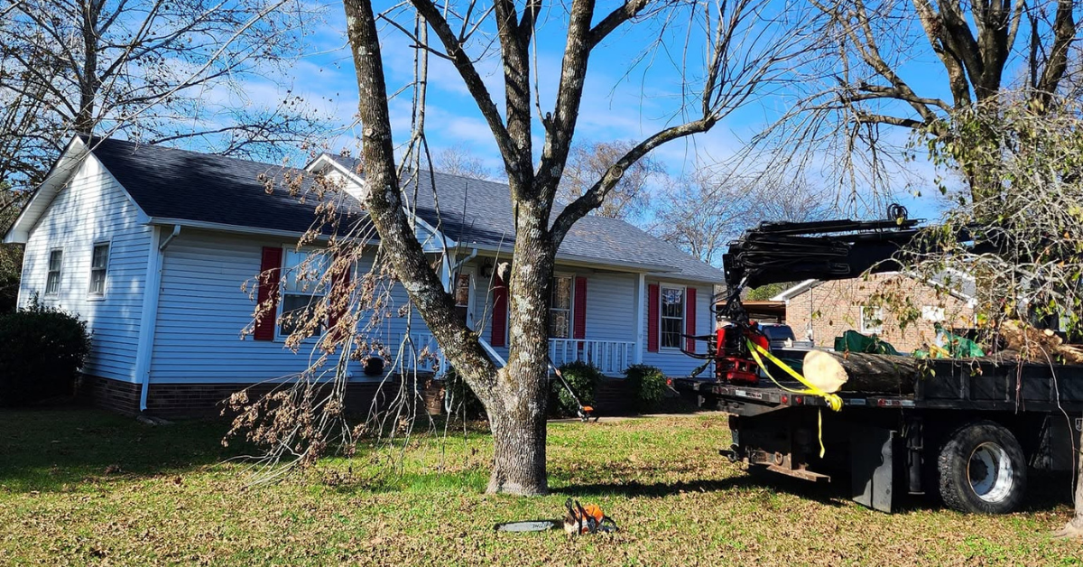 Tree Service in Maury County