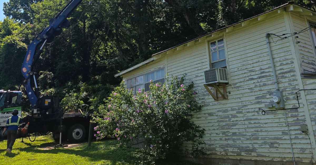 Tree Service in Maury County